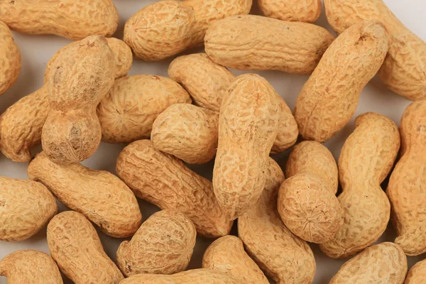 Amendoim com casca isolado no fundo branco — Fotografia de Stock