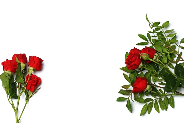 Bukiet czerwonych róż izolowane na białym tle — Zdjęcie stockowe