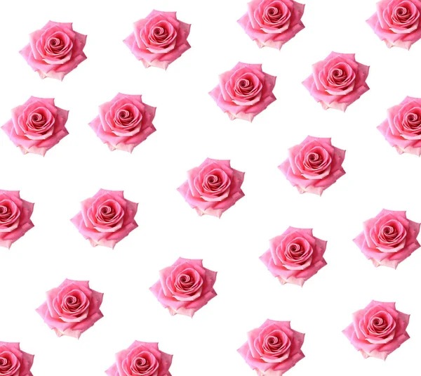 Motif délicat de roses roses dans un style chebbi — Photo