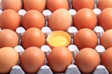 beyaz arka plan üzerinde izole sarısı ile yarım çiğ tavuk yumurtası ile tavuk yumurtası seti