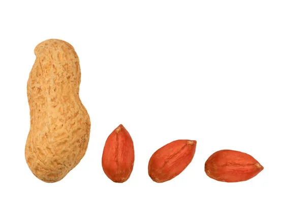 Nozes de amendoim isoladas sobre fundo branco — Fotografia de Stock