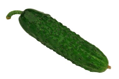 Salatalık beyaz arka planda izole edilmiş. Yakın plan. Üst görünüm.