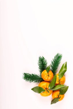 Noel arkaplanı. Yapraklı mandalina. Spruce şubesi. Üst Manzara. Düz Düzen.