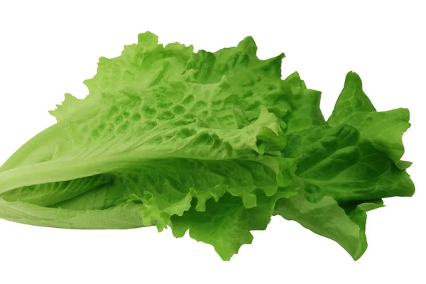 Grünes Salatblatt Isoliert Auf Weißem Hintergrund Nahaufnahme Ansicht Von Oben — Stockfoto