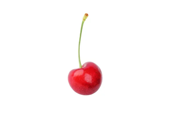 Sweet Cherry Isolated White Background Close Top View — Stock Photo, Image