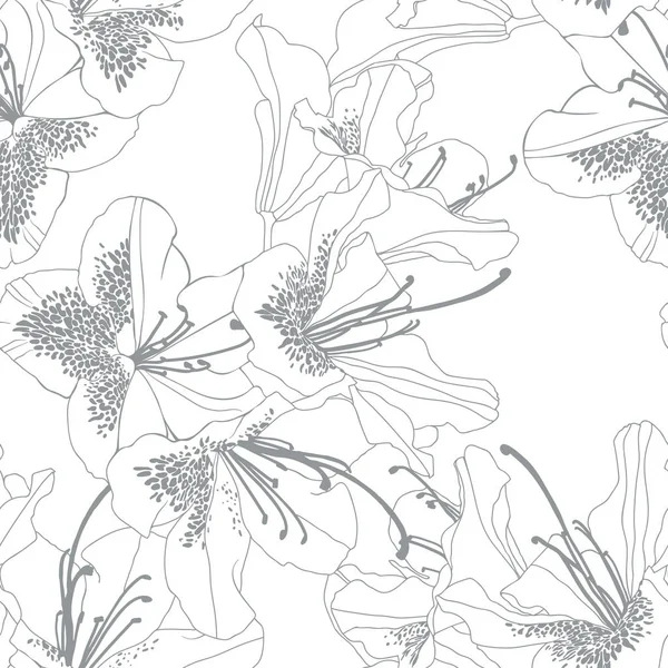 Rododendro Branco Flores Cosmopolitas Com Contorno Cinza Fundo Branco Padrão — Vetor de Stock