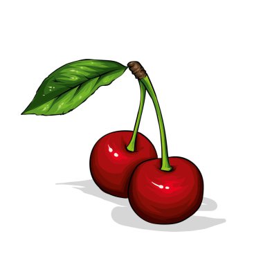 Güzel kiraz bir yaprak. Meyve ve çilek, yaz yiyecek. Vektör çizim.