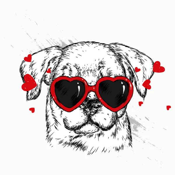 Bir köpek ya da köpekle portresi kalp şeklinde gözlük. Vektör çizim için tebrik kartı veya poster, elbiselere yazdırma.