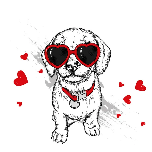 Bir köpek ya da köpekle portresi kalp şeklinde gözlük. Vektör çizim için tebrik kartı veya poster, elbiselere yazdırma.