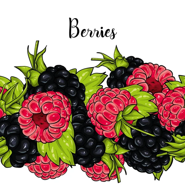 Gyönyörű Érett Málna Blackberry Vektoros Illusztráció Bogyók Gyümölcsök Nyár Koszorú — Stock Vector