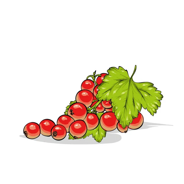 Belle Groseille Mûre Illustration Vectorielle Baies Fruits Été — Image vectorielle