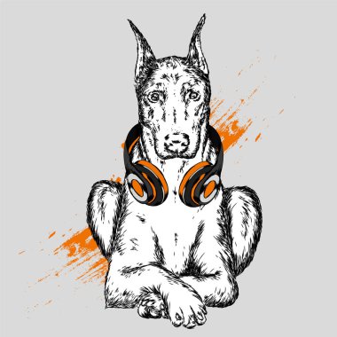 Köpek kulaklıklarla. Komik köpek yavrusu. Vektör çizim için tebrik kartı veya poster, elbiselere yazdırma.