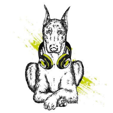 Köpek kulaklıklarla. Komik köpek yavrusu. Vektör çizim için tebrik kartı veya poster, elbiselere yazdırma.