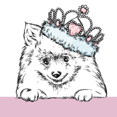 Sevimli köpek bir taç. Vektör çizim.