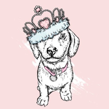 Sevimli köpek bir taç. Vektör çizim.