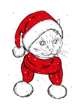 Komik kedi bir Noel şapka ve atkı. Vektör çizim kartı veya poster, elbiselere yazdırma için. Yeni yıl ve Noel. Çizilmiş.
