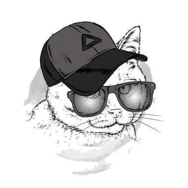 Kedi bir kap ve gözlük. Hippi. Çizilmiş vektör çizim.