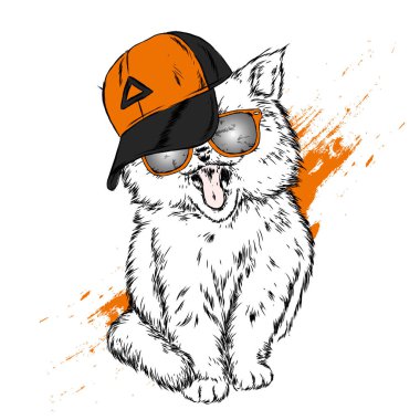 Kedi bir kap ve gözlük. Hippi. Çizilmiş vektör çizim.