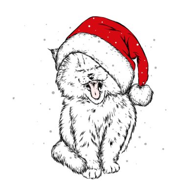 Komik kedi bir Noel şapka ve atkı. Vektör çizim kartı veya poster, elbiselere yazdırma için. Yeni yıl ve Noel. Çizilmiş.
