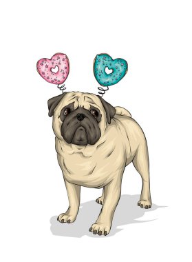 Komik pug çörek kafasına. Kalpler. Vektör çizim için poster ya da poster, tişört baskı.