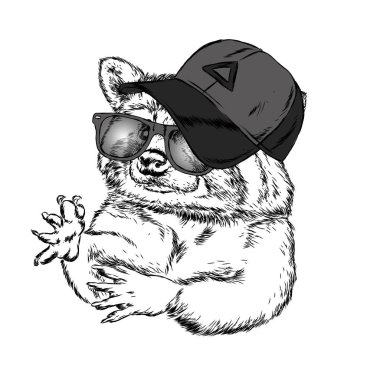 Şirin Rakun şapkası ve gözlük. Vektör çizim bir kartpostal veya poster, giysiler için yazdırma için. Vahşi hayvan giysili. Çizilmiş.