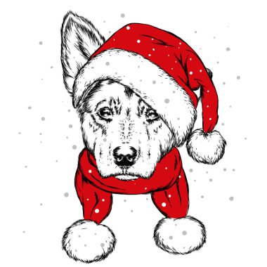 Noel şapka içinde belgili tanımlık köpek yavrusu. Noel Baba köpek. Yılbaşı ve Yeniyıl, kış tatili. Vektör çizim kartpostal veya giysi üzerine baskı için.