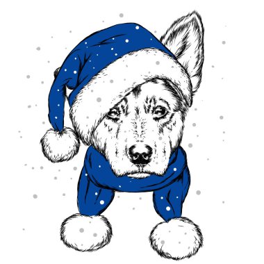 Noel şapka içinde belgili tanımlık köpek yavrusu. Noel Baba köpek. Yılbaşı ve Yeniyıl, kış tatili. Vektör çizim kartpostal veya giysi üzerine baskı için.