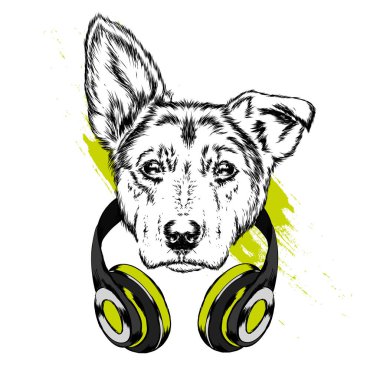 Köpek kulaklıklarla. Komik köpek yavrusu. Vektör çizim için tebrik kartı veya poster, elbiselere yazdırma.