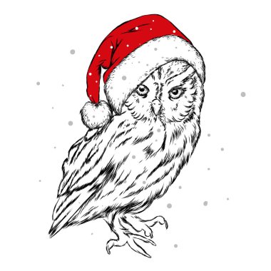 Noel poster ile Noel Baba'nın şapkalı görüntü baykuş. Vektör çizim. Hipster kuş. Vardı çizilmiş.