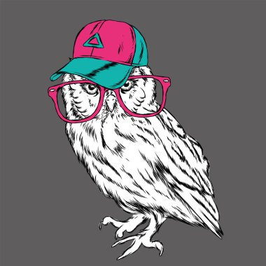 Baykuş bir kap ve bir kravat takıyor. Boyalı Kuş. Vektör çizim için tebrik kartı, poster ya da baskı dökmeyin. Hippi. Çizilmiş.