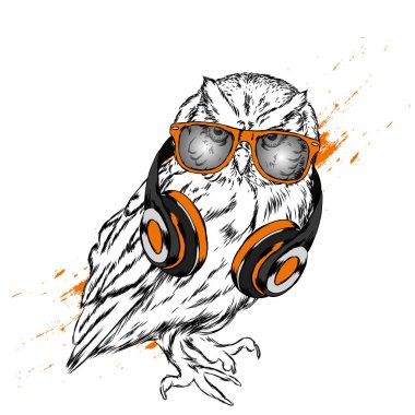 Serin baykuş kulaklıklarla. Vektör çizim. Hipster kuş. Çizilmiş.