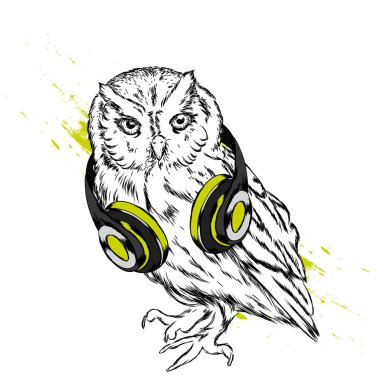Serin baykuş kulaklıklarla. Vektör çizim. Hipster kuş. Çizilmiş.