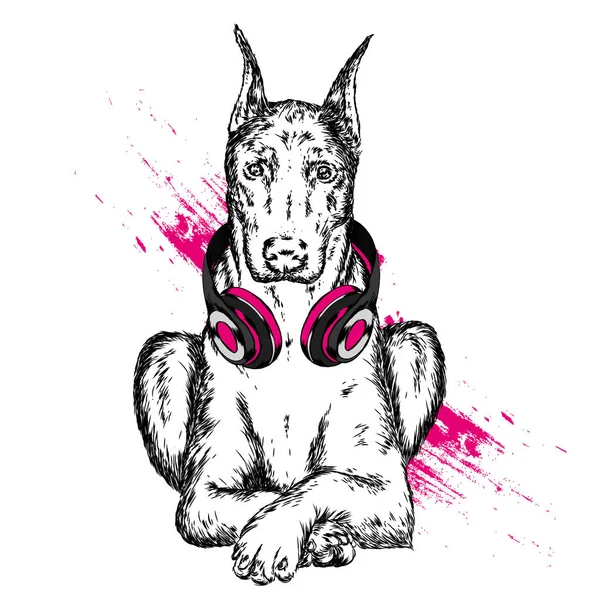 Köpek kulaklıklarla. Komik köpek yavrusu. Vektör çizim için tebrik kartı veya poster, elbiselere yazdırma.