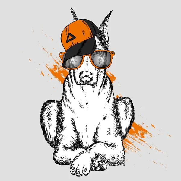Sevimli köpek kap ve gözlük. Vektör çizim.