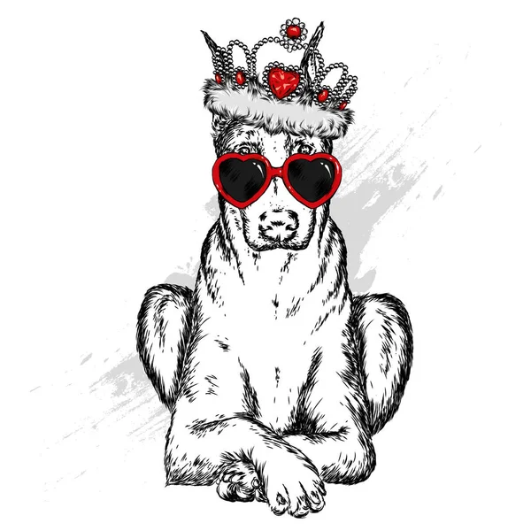 Sevimli köpek bir taç. Vektör çizim.