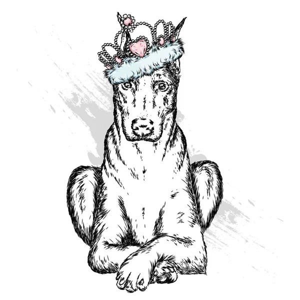 Sevimli köpek bir taç. Vektör çizim.