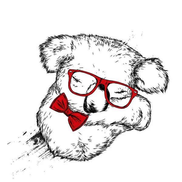 Şirin koala gözlük ve yay. Ayı. Avustralya. Vektör çizim kartpostal veya poster, giysiler için yazdırma için.