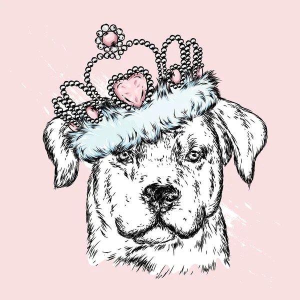 王冠のかわいい犬 ベクトル図 — ストックベクタ