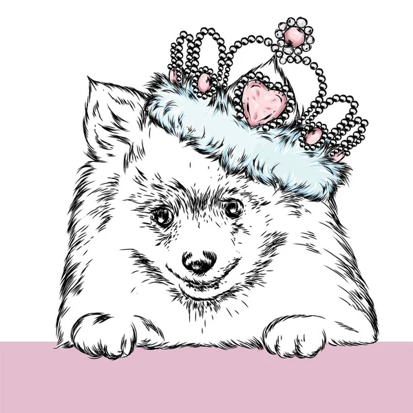 Sevimli köpek bir taç. Vektör çizim.