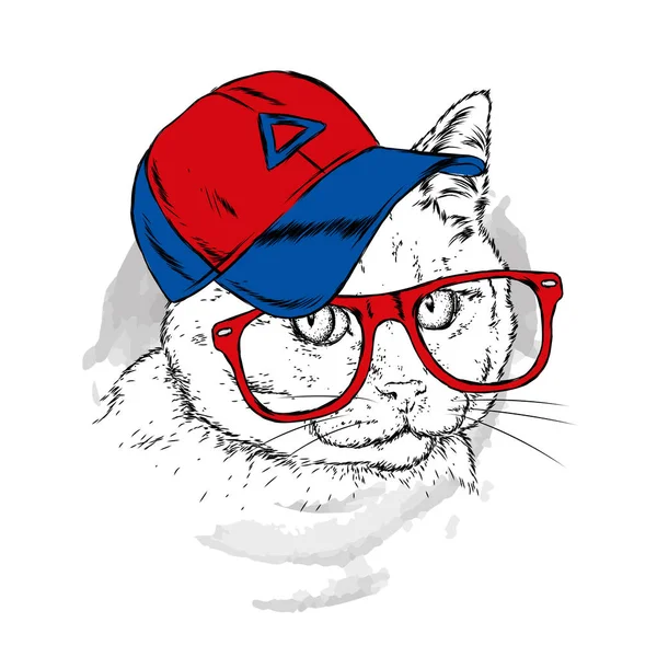 Katze Mit Mütze Und Brille Hipster Handgezeichnete Vektorillustration — Stockvektor