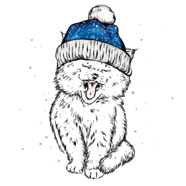 Komik kedi bir Noel şapka ve atkı. Vektör çizim kartı veya poster, elbiselere yazdırma için. Yeni yıl ve Noel. Çizilmiş.