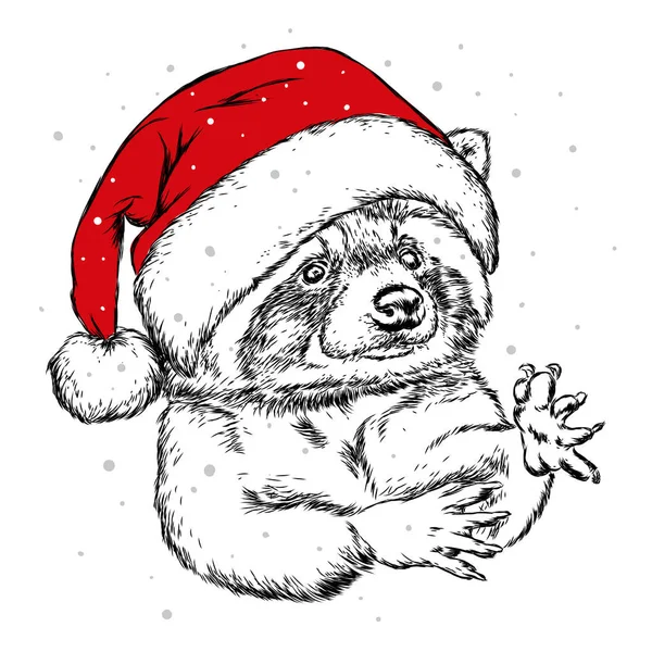 Das Weihnachtsplakat Mit Dem Bild Des Waschbärs Weihnachtsmannhut Vektor Illustration — Stockvektor