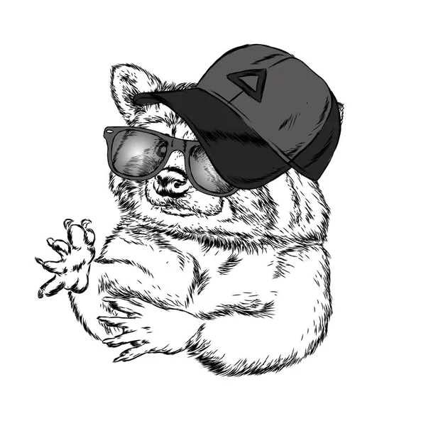 Şirin Rakun şapkası ve gözlük. Vektör çizim bir kartpostal veya poster, giysiler için yazdırma için. Vahşi hayvan giysili. Çizilmiş.