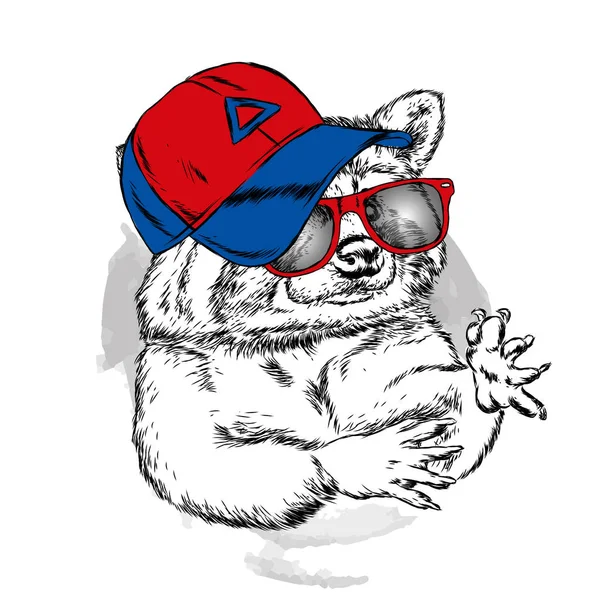 Şirin Rakun şapkası ve gözlük. Vektör çizim bir kartpostal veya poster, giysiler için yazdırma için. Vahşi hayvan giysili. Çizilmiş.