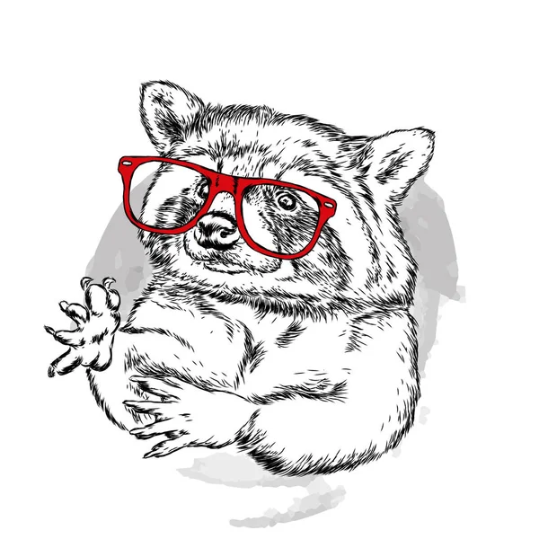 Hipster Waschbär Handzeichnung Maulkorb Von Tier Waschbär Vektor Illustration Für — Stockvektor