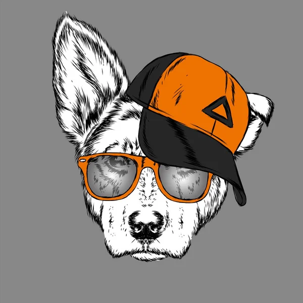 Lindo Perro Gorra Gafas Ilustración Vectorial — Vector de stock