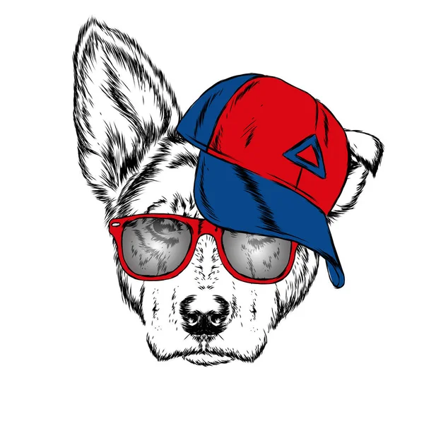 Lindo Perro Gorra Gafas Ilustración Vectorial — Vector de stock