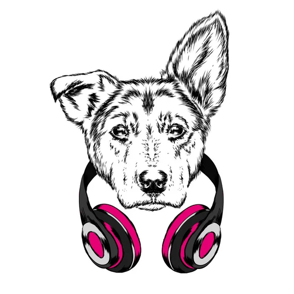 Köpek kulaklıklarla. Komik köpek yavrusu. Vektör çizim için tebrik kartı veya poster, elbiselere yazdırma.