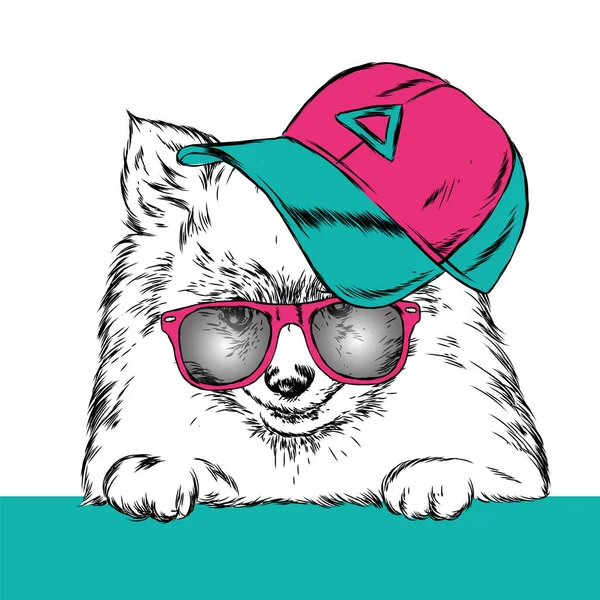 Lindo Perro Gorra Gafas Ilustración Vectorial — Vector de stock