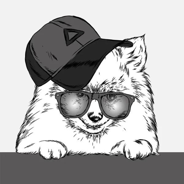 Cute Dog Cap Glasses Vector Illustration — Stock Vector